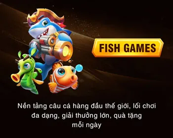 Cập nhật thông tin awin68 liên tục